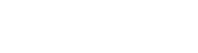 Playmore Sports Logo