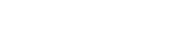 Playmore Sports Logo